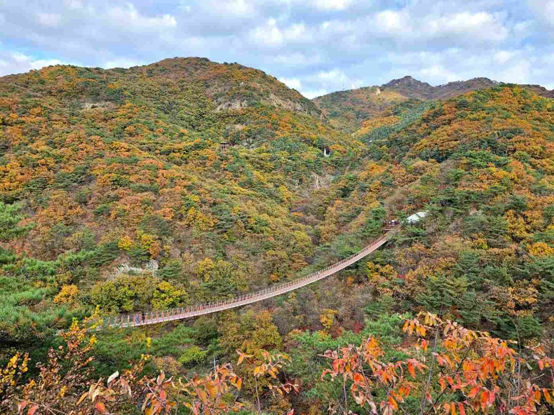 경기도 파주 감악산 출렁다리 사진(4) ⓒ타임즈