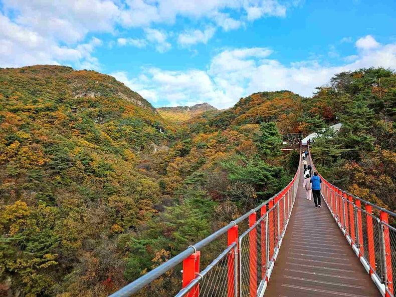 경기도 파주 감악산 출렁다리 사진(1) ⓒ타임즈