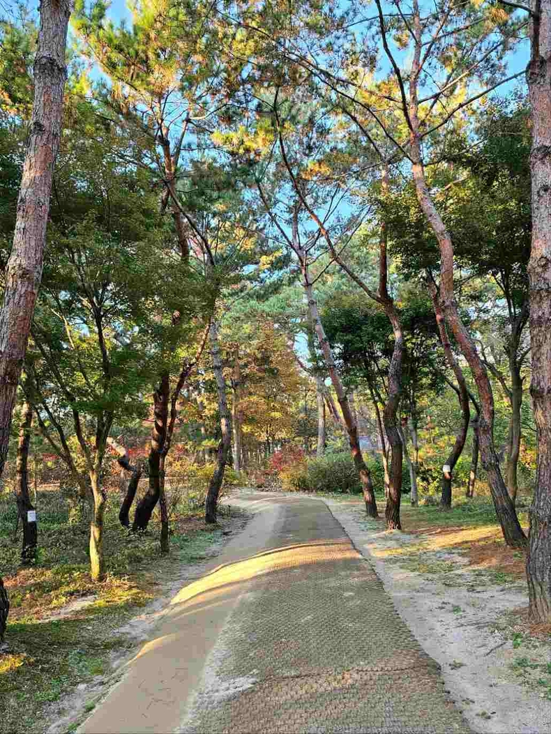 1-10 서오릉 ⓒ타임즈