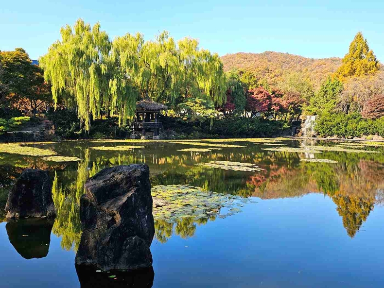 경기도 파주 벽초지수목원 사진(1) ⓒ타임즈