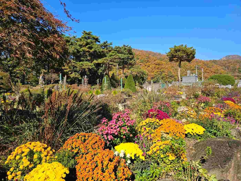 경기도 파주 벽초지수목원 사진(4) ⓒ타임즈