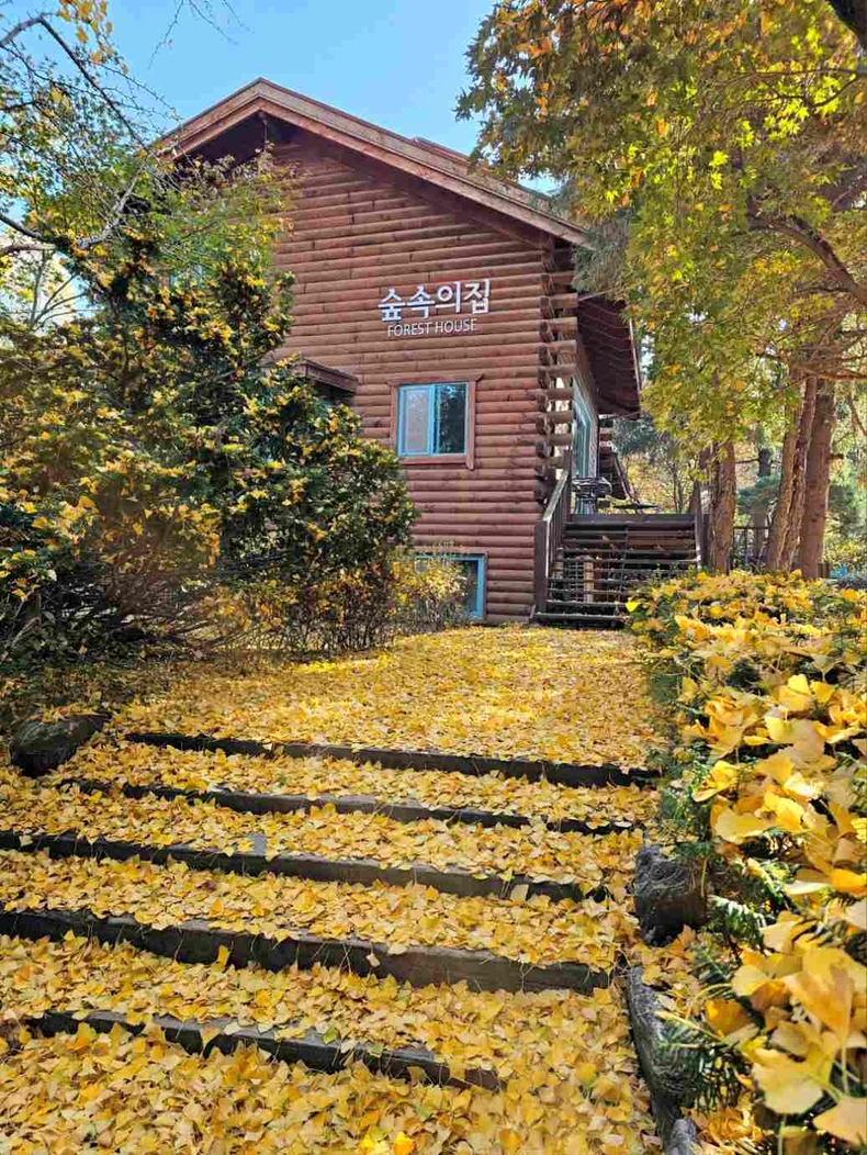 경기도 파주 벽초지수목원 사진(9) ⓒ타임즈
