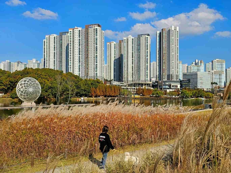 화성시 동탄신도시에 위치한 동탄호수공원 사진(1) ⓒ타임즈