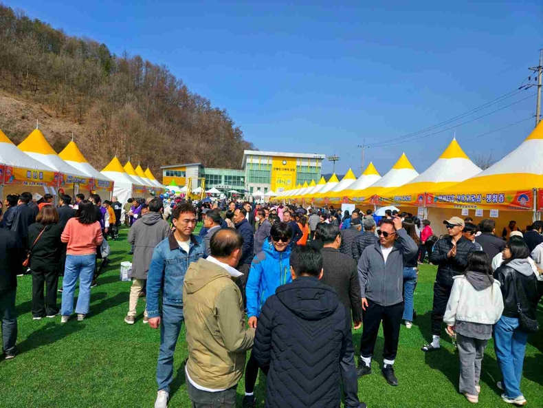 제26회 양평군 단월 고로쇠축제 성황리 개최 사진(2) ⓒ타임즈