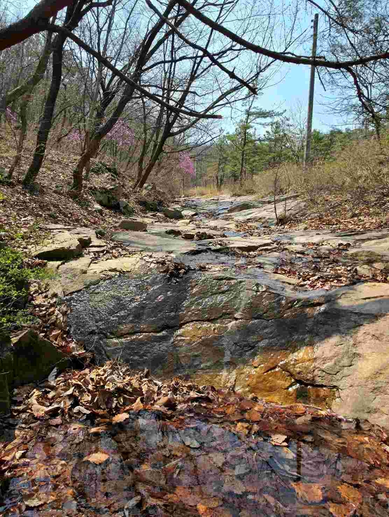 구리시에서 즐기는 힐링 등산 코스, 아차산 사진(6) ⓒ타임즈