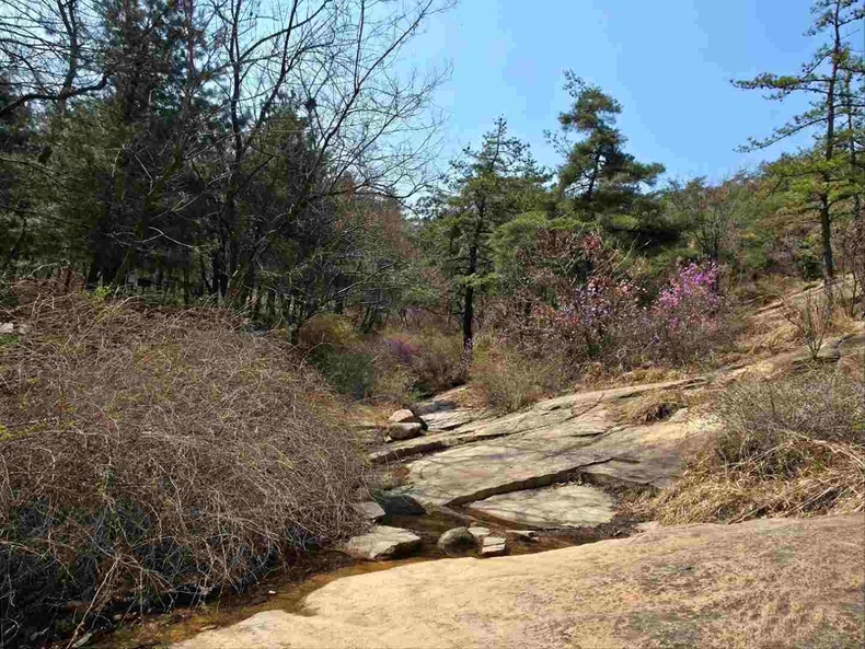 구리시에서 즐기는 힐링 등산 코스, 아차산 사진(2) ⓒ타임즈