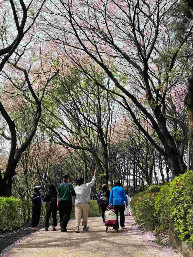 성남 수진공원 벌터산 한마당 축제(2) ⓒ타임즈