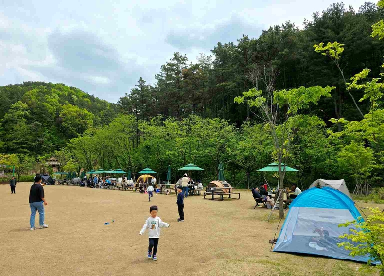 경기도 화성시에 위치한 무봉산 자연휴양림 사진(10) ⓒ타임즈