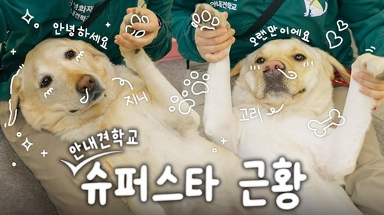 삼성화재 유튜브, 다양한 고객 커뮤니케이션으로 지속 성장_1 ⓒ타임즈 