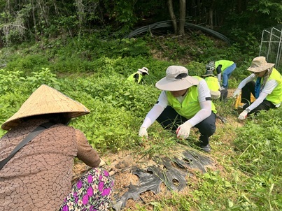 지난 30일 의정부시 송산로 배 과수농가에서 NH농협은행 이영우 투자상품·자산관리부문장 등 임직원들이 일손돕기를 하고 있다. ⓒ타임즈 