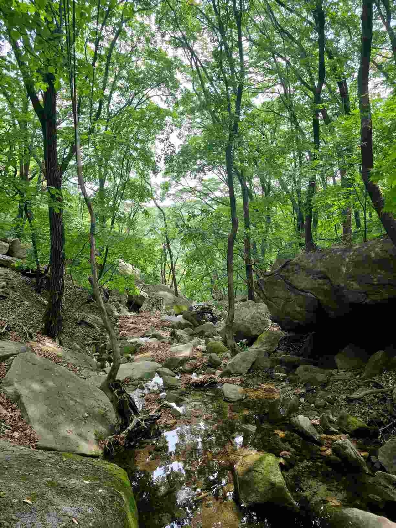 남양주 수락산과 청학동계곡 사진(5) ⓒ타임즈