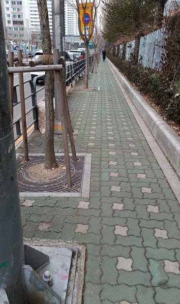 광남초등학교 앞 통학로 모습. 인도의 절반 가까이 차지한 가로수로 인해 학생 1명이 간신히 통행할 수 있는 좁은 보행공간만 확보된 상태다. ⓒ타임즈 