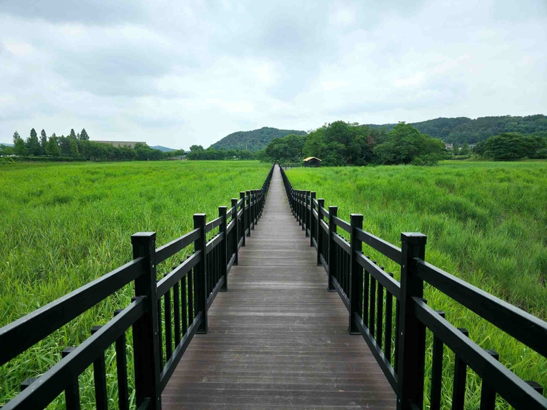 경기 화성 비봉습지공원(3) ⓒ타임즈