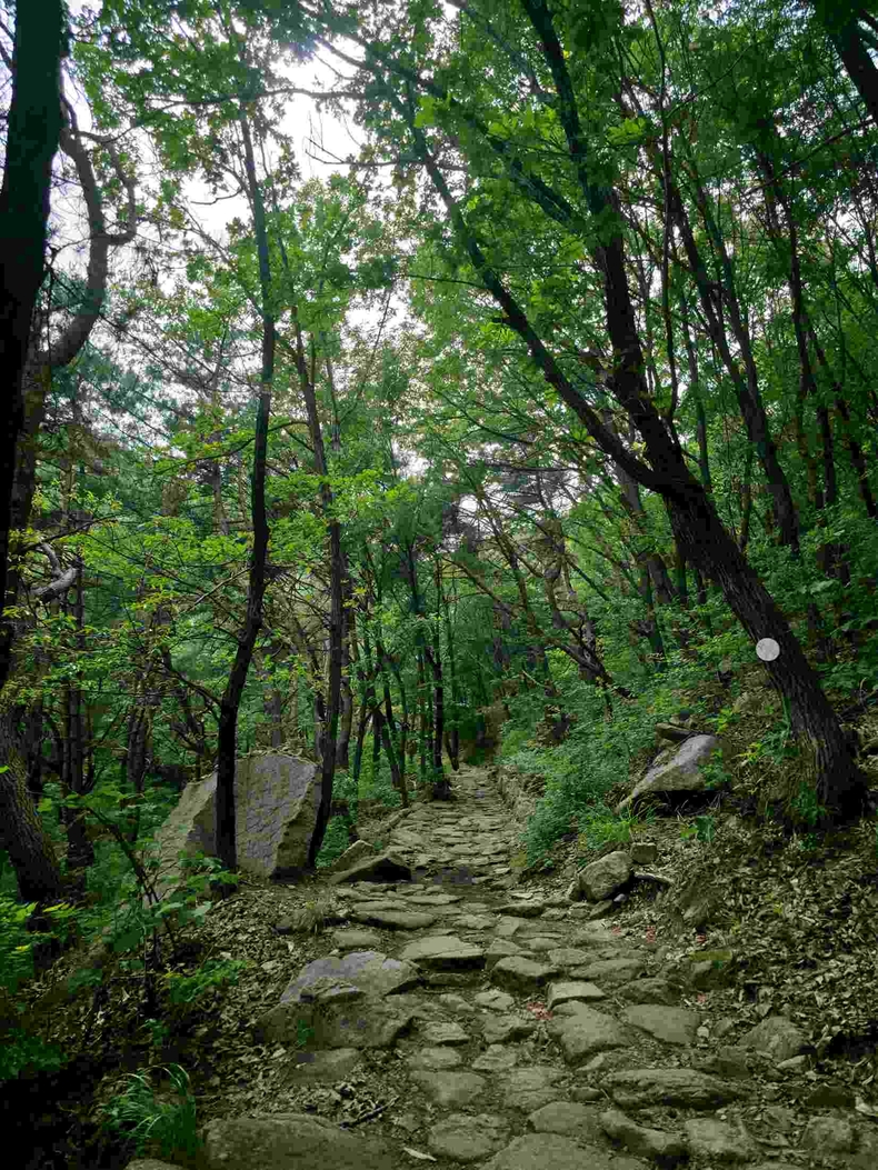 경기 남양주 불암사 사진(5) ⓒ타임즈