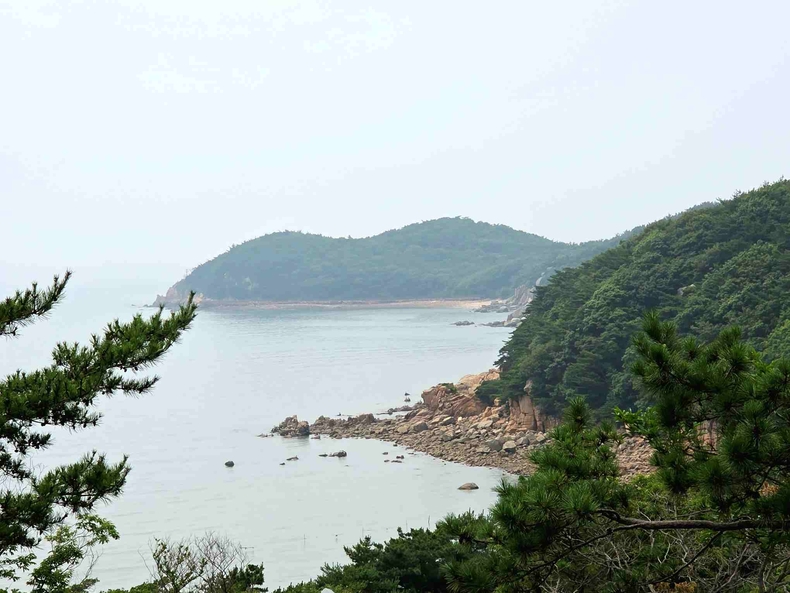 인천 무의도자연휴양림(5) ⓒ타임즈