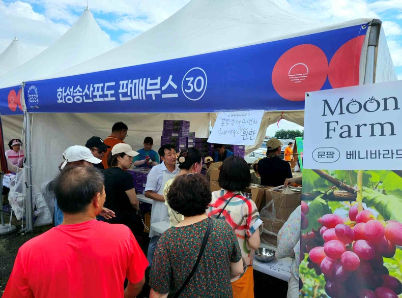 화성송산포도축제 사진(2) ⓒ타임즈