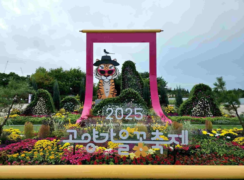 고양가을꽃축제 사진(1) ⓒ타임즈