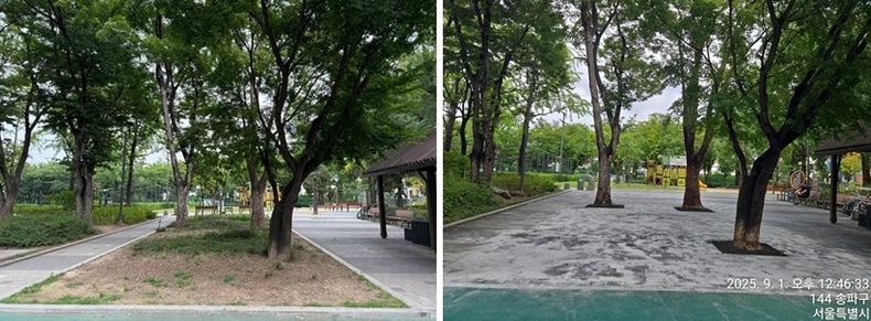 잠실근린공원 중앙부 화단 평탄화 (왼쪽 전, 오른쪽 후) ⓒ타임즈 