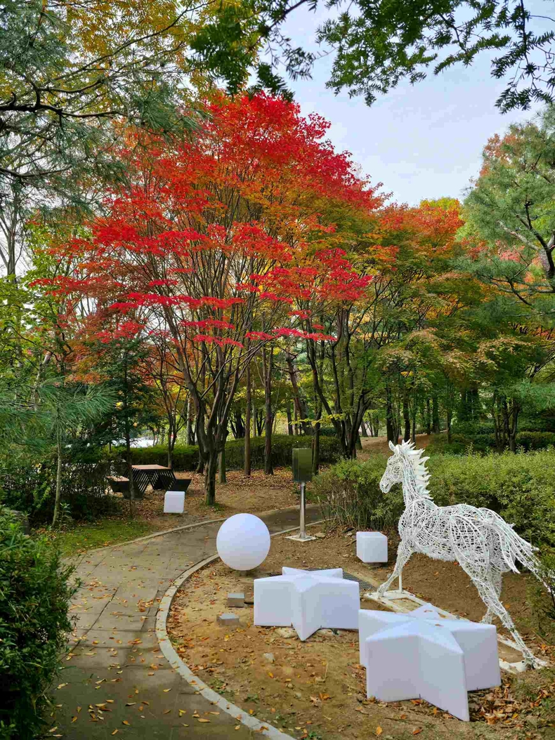 성남 대원공원 사진(6) ⓒ타임즈