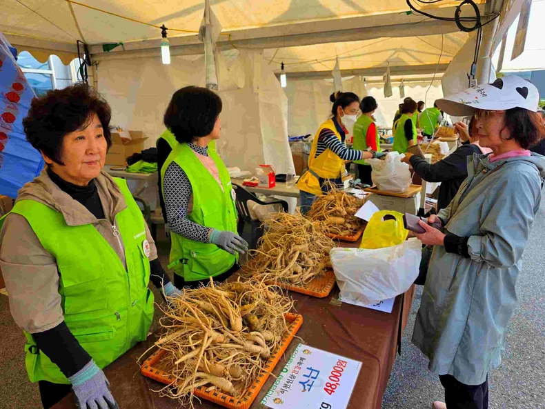 제11회 이천인삼축제(3) ⓒ타임즈