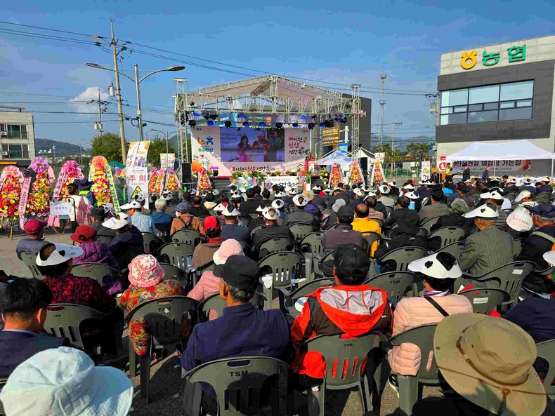 제11회 이천인삼축제(4) ⓒ타임즈