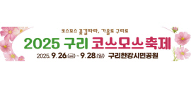 배너