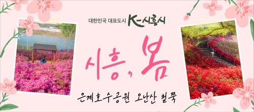 배너