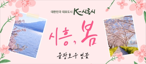 배너