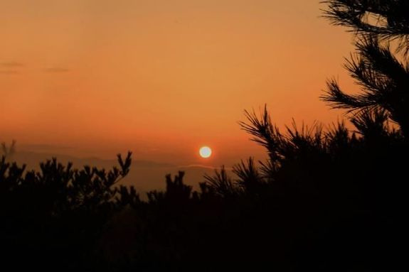 성남시 새해 첫날 금토산 판교 마당바위서 해맞이 행사