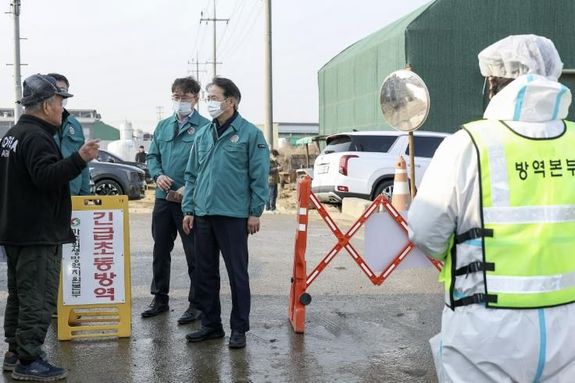한우 사육농장 구제역 발생…고양시, 긴급 방역조치 실시
