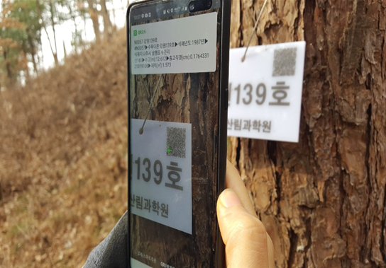 QR 코드를 이용한 시험림 성적조사 사진