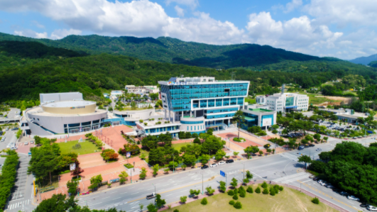 이천시, 가을철 은행나무 열매털이 사업 시행