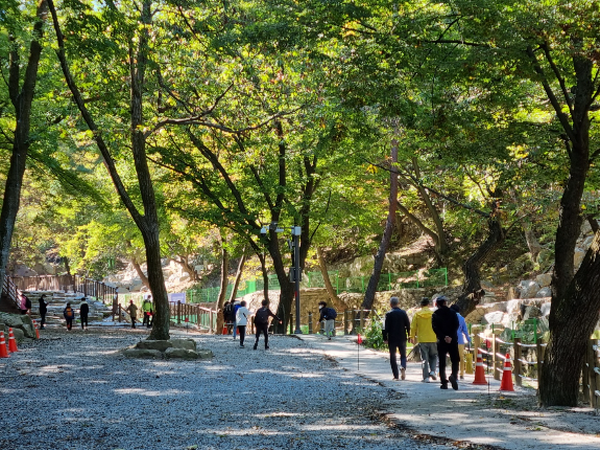 청학밸리리조트