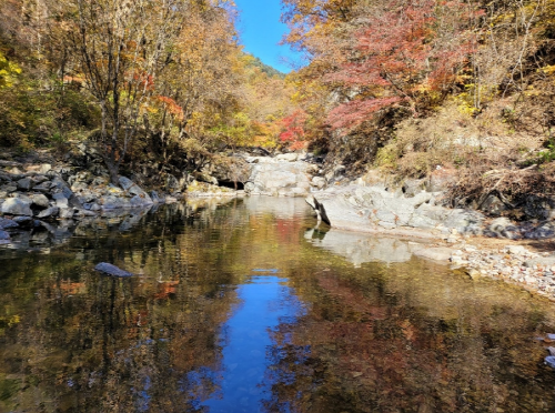 연인산 명품길 안내도 및 가을 단풍