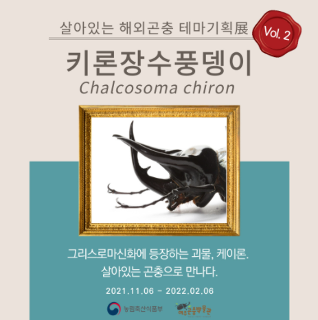 여주곤충박물관 ‘살아있는 해외 곤충 展’