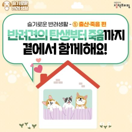 반려견의 탄생부터 죽음까지