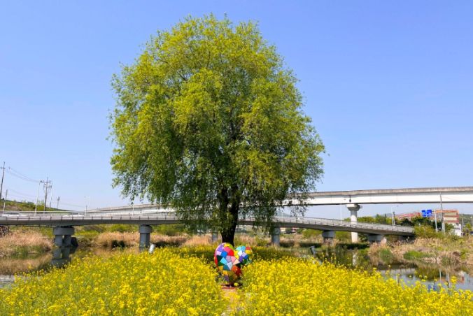포곡읍 경안천 산책로 일대 유채꽃반에 설치한 조형물 ⓒ타임즈