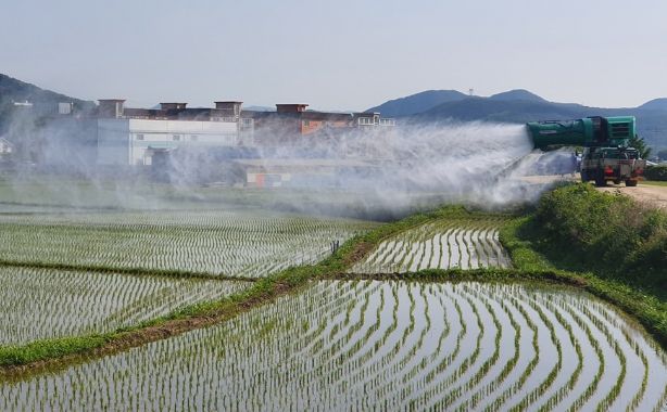광주시, 무농약 쌀 생산단지 친환경 1차 광역방제 추진