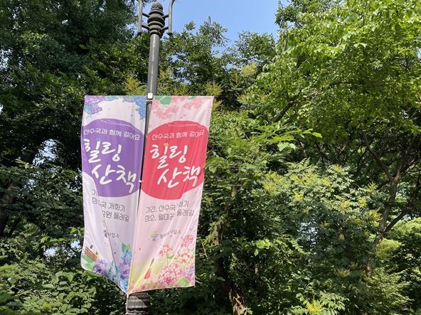 인천 월미공원 둘레길, 산수국과 함께하는 힐링산책