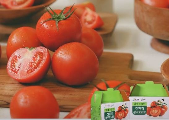 광주시, 퇴촌 토마토 팔아주기 운동 효과 톡톡