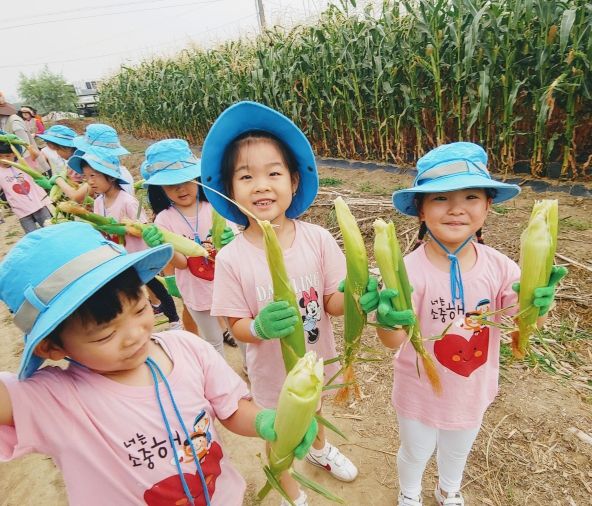 성남시민농원서 7월 18~21일 옥수수 따기 체험 행사 열린다