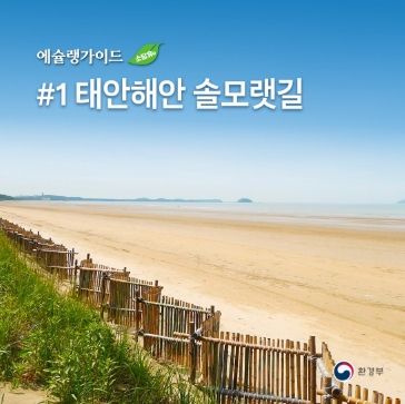 태안해안 솔모랫길