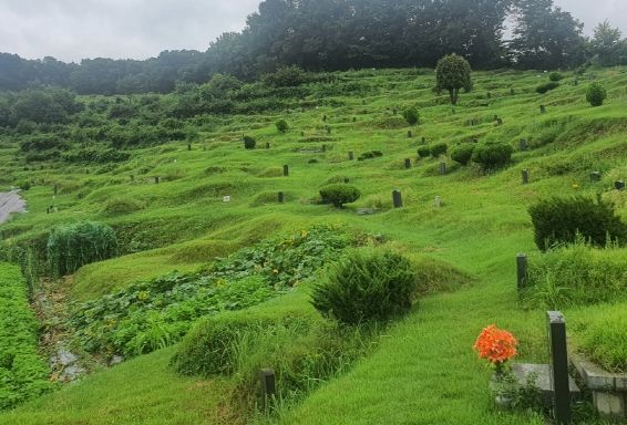 광주시 초월읍, 추석맞이 신월 공설묘지 환경정비