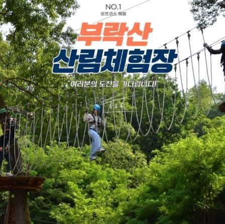 부락산산림체험장 산림레포츠 행사 개최