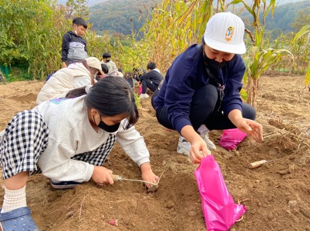 안성시 드림스타트, 정겨운 시골마을체험 프로그램