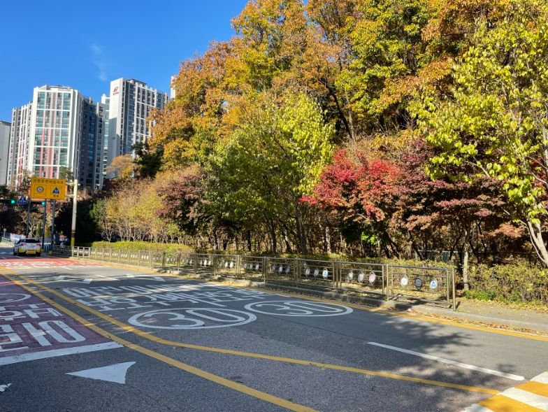 신봉동 도서관 건립 예정부지 전경