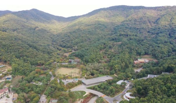 드론으로 촬영한 용인자연휴양림 모습