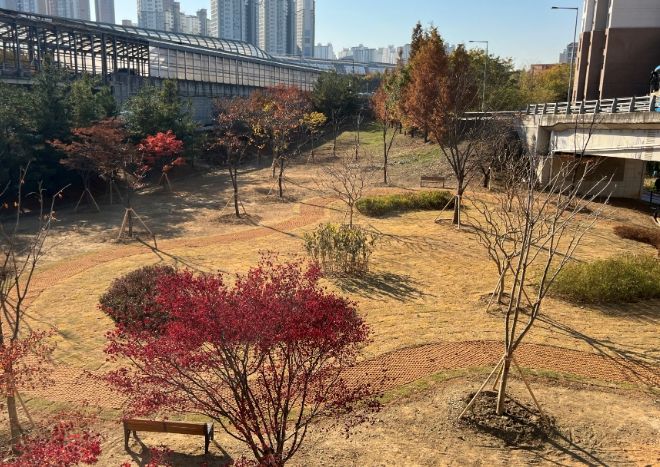 상현동 교통광장에 조성된 도시숲