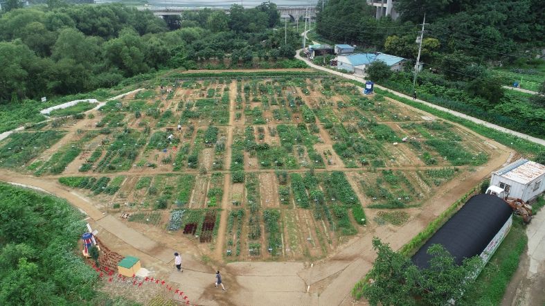 공세동 시민농장 전경