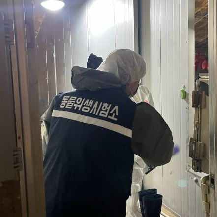 2023년 3월10일 경기도동물위생시험소와 화성시가 발생농장 입식시험 전 합동점검을 실시하고 있다.